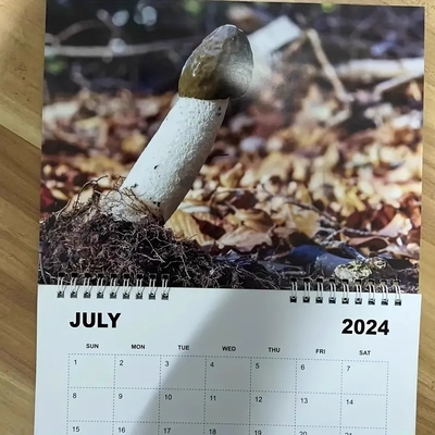 Faites ressortir votre calendrier murale personnalisé avec personnalisation et reliure en spirale durable